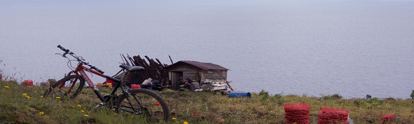 Laguna de Tota cultivos de papa - Laguna de Tota, Boyacá