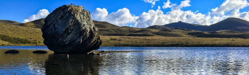 3238b1eb-a613-4195-9d59-f63862e1e936