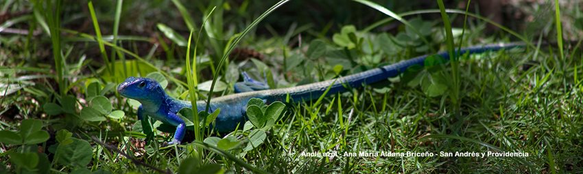 4cc27c68-b9e9-4010-bf83-0bb377b48d61