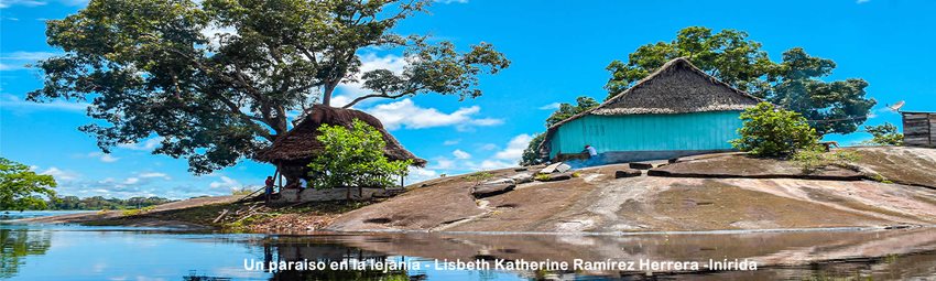 8f51d4c5-f3f8-4765-9243-9aeb495d5f1a