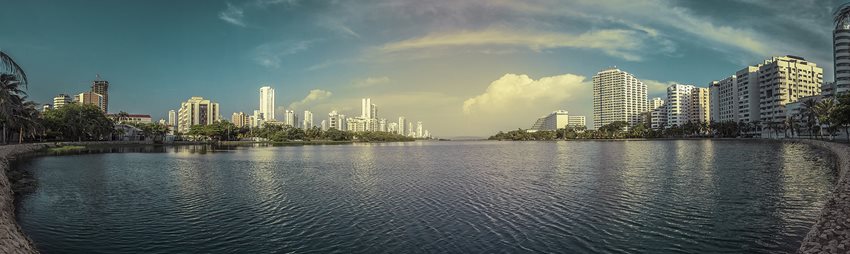 d765e782-6ba3-4030-bbe5-41cdeefad1d2